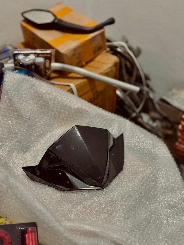 FZ visor
